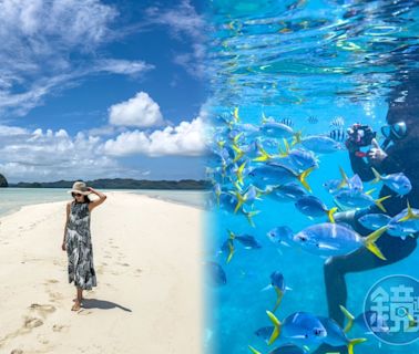 【帛琉海世界1】潛入「上帝水族箱」！下水體驗真實版海底總動員 追鯊魚、拍美照還能體驗天然護膚行程 - 鏡週刊 Mirror Media