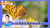 5月5日立夏！7生肖百花齊放 未來有光