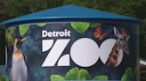 New Detroit Zoo water tower design unveiled