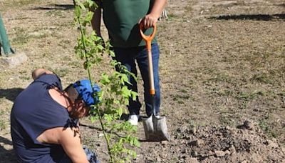 Plantan 100 nuevos árboles en el bosque Venustiano Carranza