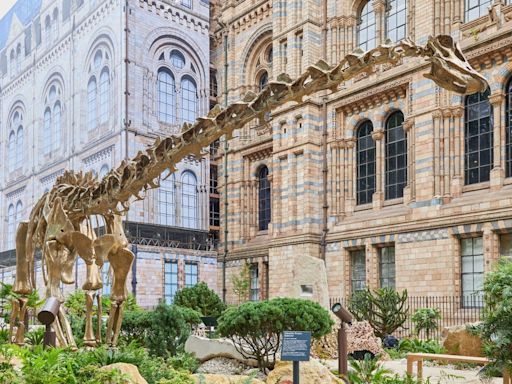 Our guide to the 11 museums every science lover needs to visit in London