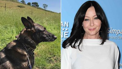 All About Shannen Doherty’s Dog Bowie, Whom She Said Sensed Her Cancer Before She Was Diagnosed