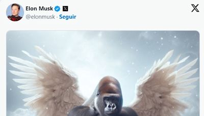 Elon Musk reacciona a la muerte la perrita que inspiró a Dogecoin