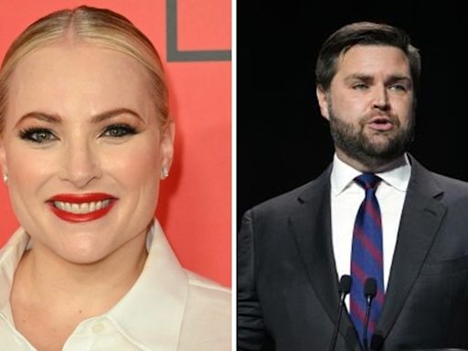 Meghan McCain scorches JD Vance for ‘a bold faced lie’ about Donald Trump: ’Every member of…'