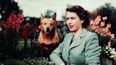 There’s been a huge surge in people buying Corgis after the Queen’s death