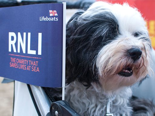 Stranded dog and owner rescued by lifeboat volunteers