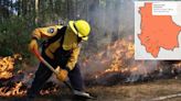 Casi 500 brigadistas combaten 18 incendios en el estado: Conafor