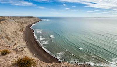 Península Valdés: Excursiones con ballenas, pingüinos, orcas y lobos marinos en plena temporada