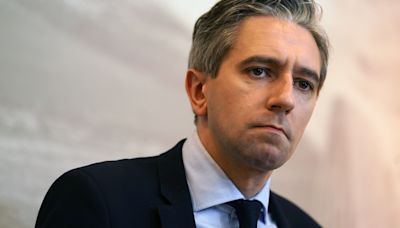 Irish premier condemns Israeli strike on Gaza school as ‘inhumane and despicable’