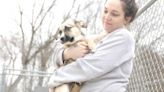 Shelter takes in puppies from ‘horrendous’ living conditions