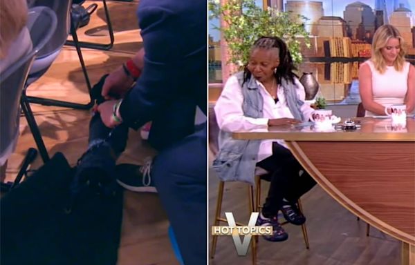 Whoopi Goldberg adorably distracted by dog in 'The View' audience