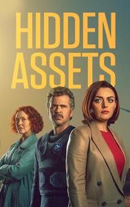 Hidden Assets (TV series)