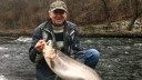 Fat Rainbow Trout Caught from Historic Creek Shatters Maryland State Record