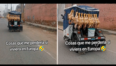 Captan a peruano trasladando pollos colgados en mototaxi y usuarios bromean: “Más fresco, imposible”