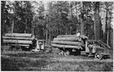 History of the lumber industry in the United States