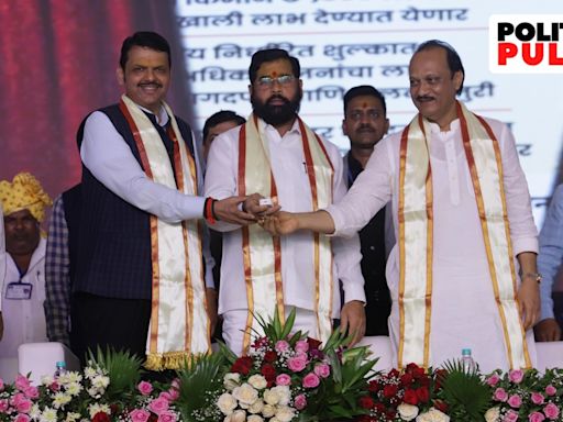 Ruling BJP, Sena, NCP herd MLAs into hotels, as Maharashtra on brink of another political drama