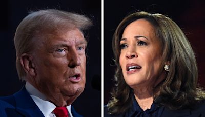 Kamala Harris and Donald Trump's 9/11 plans: What we know