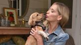 Why Sarah Michelle Gellar Adopted Her Rescue Dog After Having 'No Intention of Getting Another'