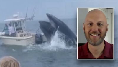 Fisherman whose boat was capsized by breaching whale speaks out: 'Was in fight or flight mode'
