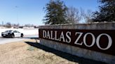 2 monkeys missing from Dallas Zoo believed to be taken; fourth incident to occur this month