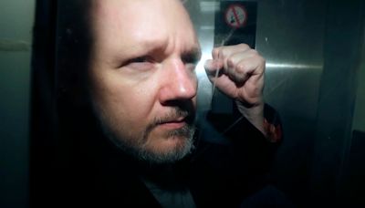 Un tribunal de Londres falló a favor de Julian Assange y podrá apelar contra la orden de extradición a Estados Unidos