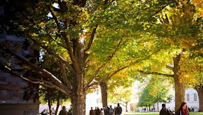 Emory School of Law, Along With Entire University, Moves Graduation Ceremony | Daily Report