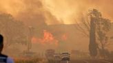 Turkiya wildfire kills 12 and devastates flocks