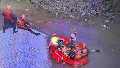 Atualização: cavalo ilhado em telhado em Canoas (RS) é resgatado com sucesso | Notícias Sou BH