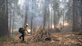 Smoky air fills Sierra forests near Fresno. Here’s why that is a good thing | Opinion