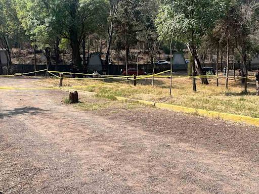 Aparece nuevo perrito desollado en Bosque de Nativitas en Xochimilco; ya suman 24