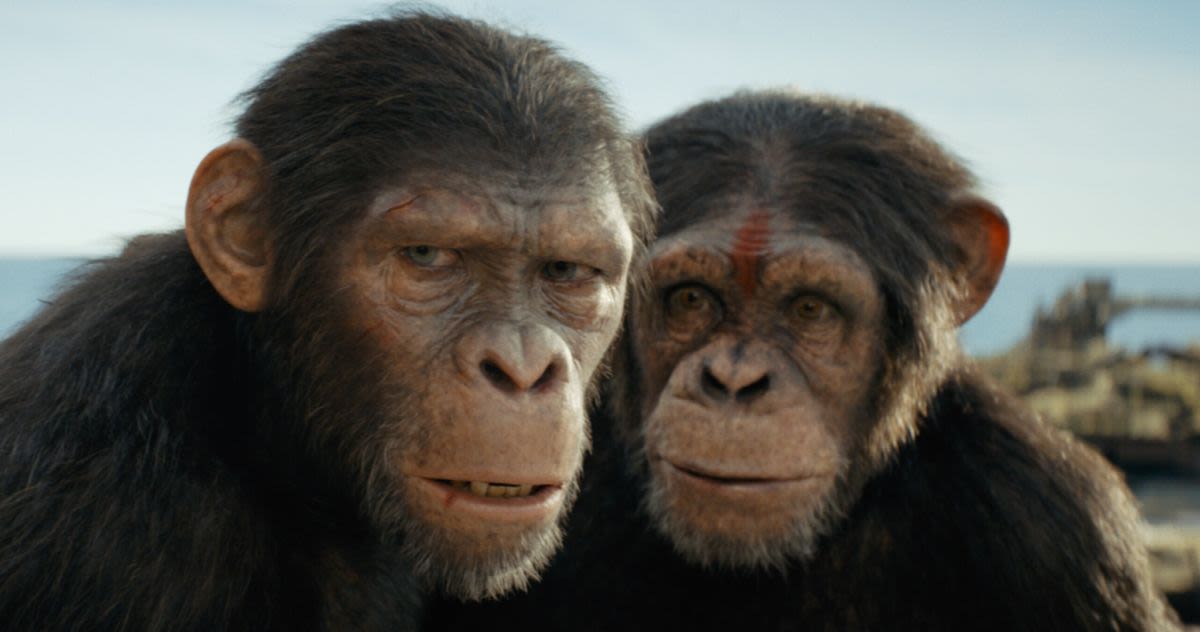 Kingdom of the Planet of the Apes Is Appealing to the Summer Box Office