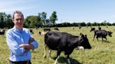 Darragh McCullough: 5 changes that could fast-track water-quality improvement in time to save our outdoor dairy systems