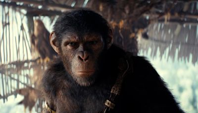 'Kingdom of the Planet of the Apes' reigns at the box office