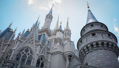 Homeless Man Arrested At Disney After 'Grabbing' Officer's Vest