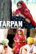 Tarpan