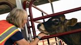 Behind the lines of red-hot wildfires, volunteers save animals with a warm heart and a cool head