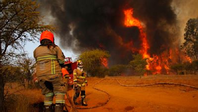 Los 12 proyectos con los que la ciencia chilena contribuirá a la prevención y recuperación de incendios forestales - La Tercera