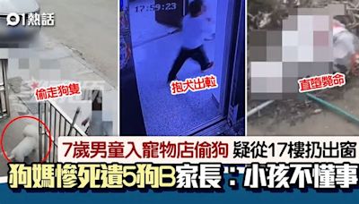 7歲童入寵物店偷狗「由17樓扔下摔死」 家長願賠錢︰小孩不懂事