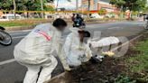 Hallaron a conductor de camión sin vida en plena calle: investigan su extraña muerte