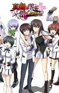 Majikoi ~ Oh! Samurai Girls