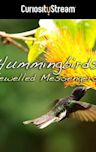 Hummingbirds: Jewelled Messengers