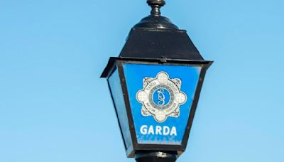 Two men arrested following cannabis seizure worth €330k in Cavan