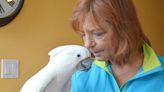 Housing hard to find for Langley senior and Elvis-loving cockatoo