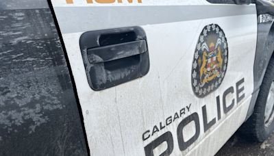 Suspicious death in northeast Calgary deemed a homicide, say police