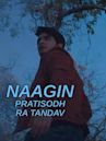 Naagin - Pratisodh Ra Tandav
