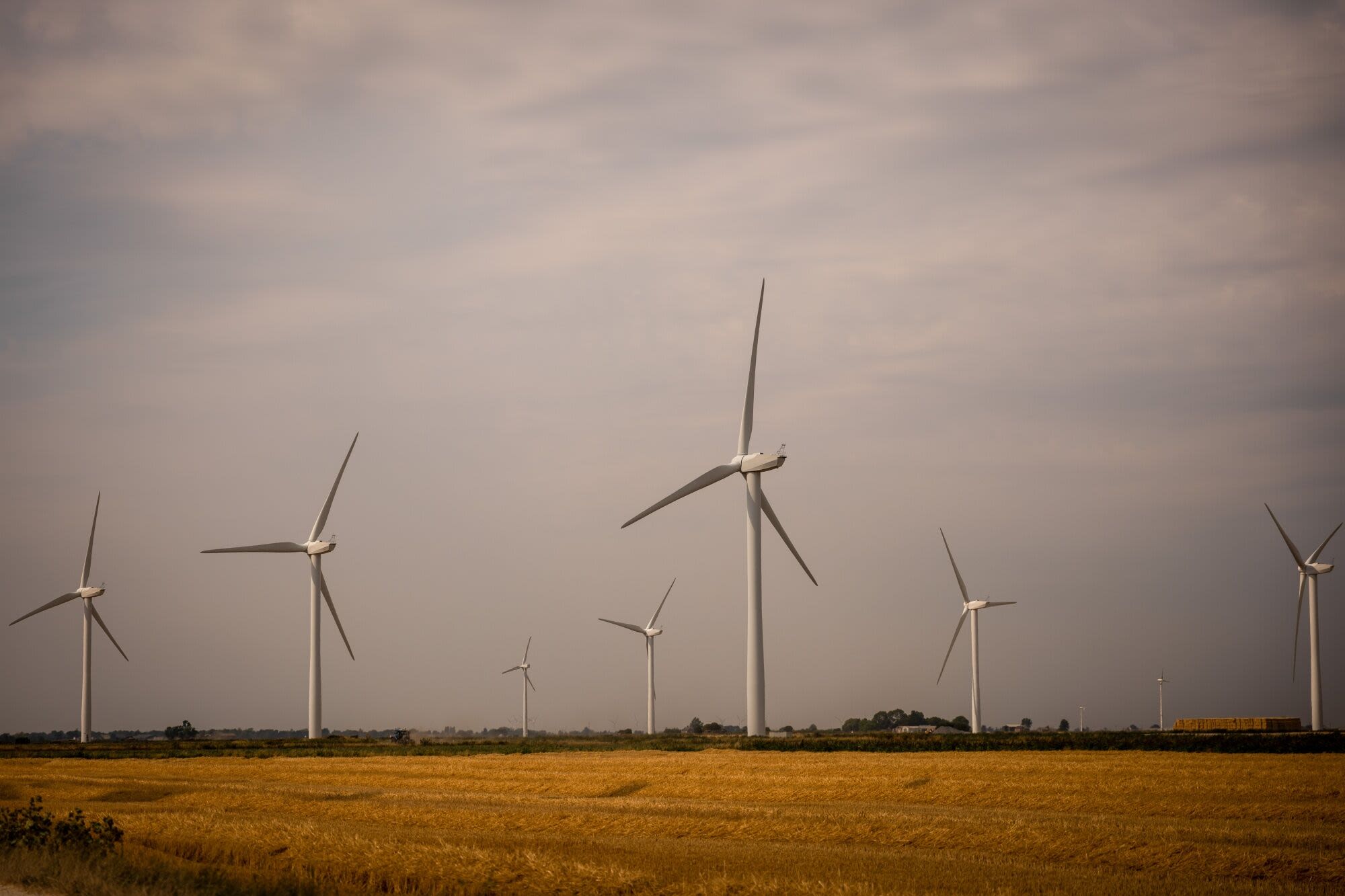 UK’s Crown Estate Partners With GB Energy to Expand Wind Power