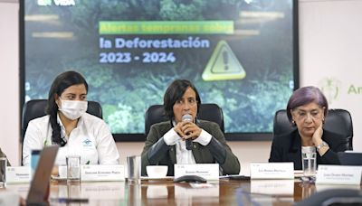 Colombia registró en 2023 la cifra de deforestación más baja en 23 años