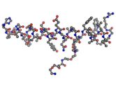 Semaglutide