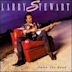 Down the Road (Larry Stewart album)