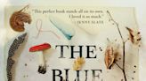 Literate Matters: Superstition and history combine in 'The Blue Maiden'